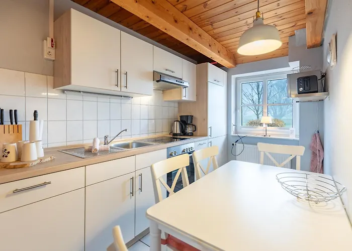 Schipp Landen Johanna